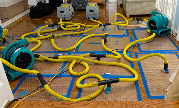 Professional Water Damage Restoration technician working in Cary, NC
